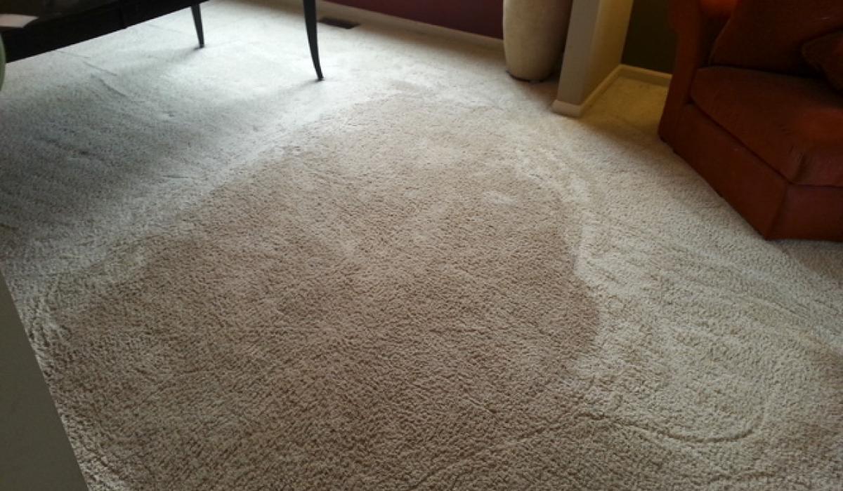 Carpet Cleaning Service Aurora IL Carpet Cleaning Aurora IL Royal