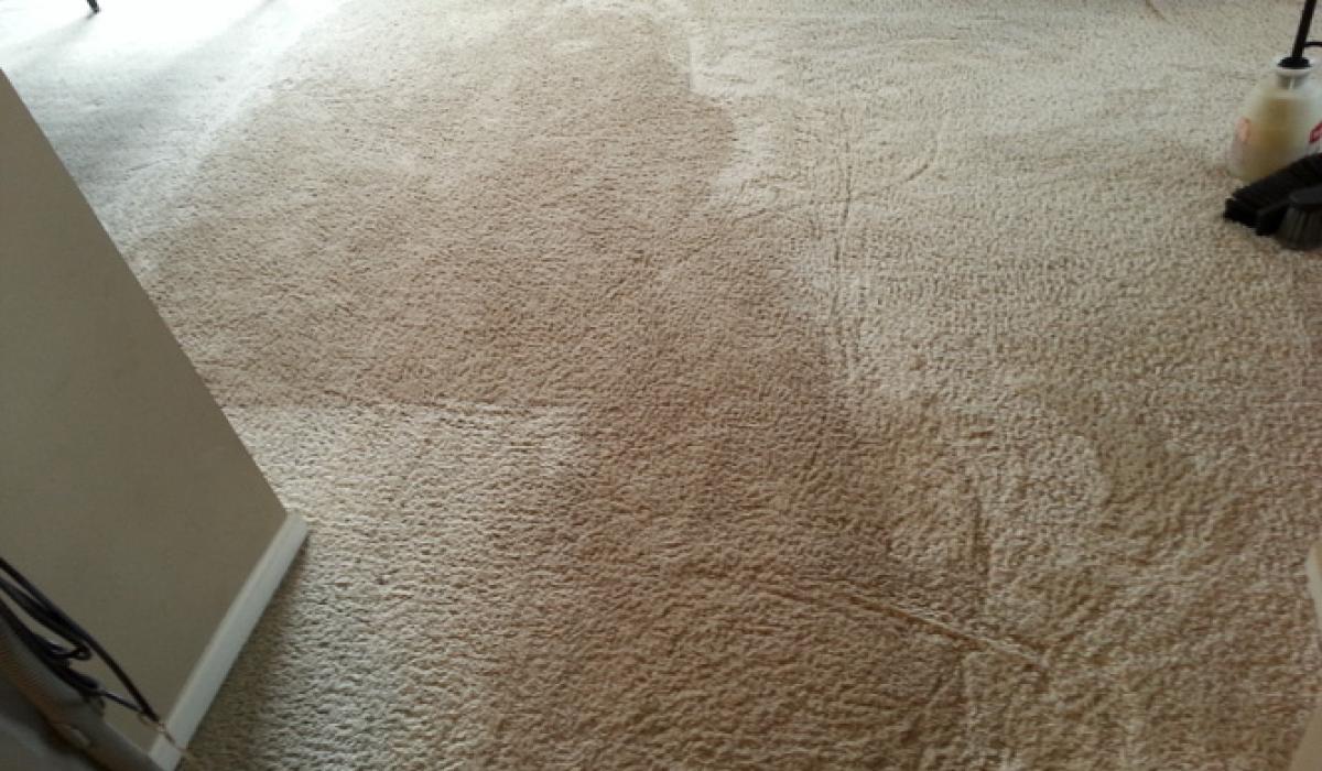 Carpet Cleaning Service Aurora IL Carpet Cleaning Aurora IL Royal