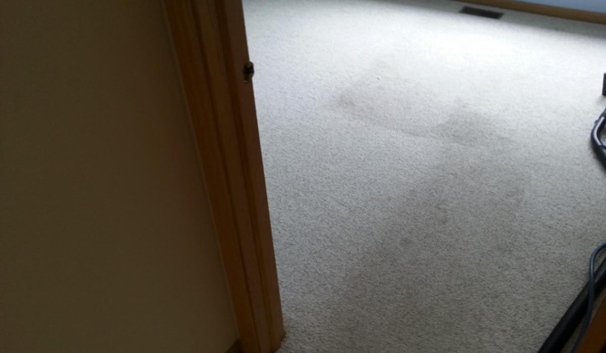 Carpet Cleaning Service Aurora IL Carpet Cleaning Aurora IL Royal