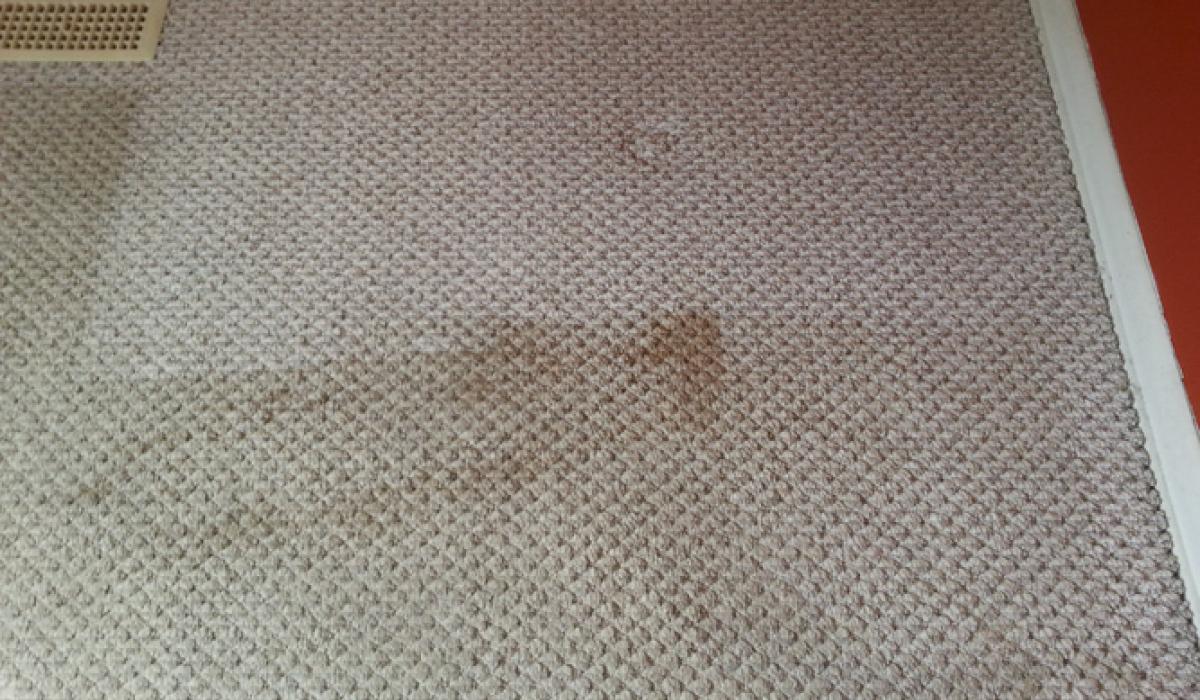 Carpet Cleaning Service Aurora IL Carpet Cleaning Aurora IL Royal