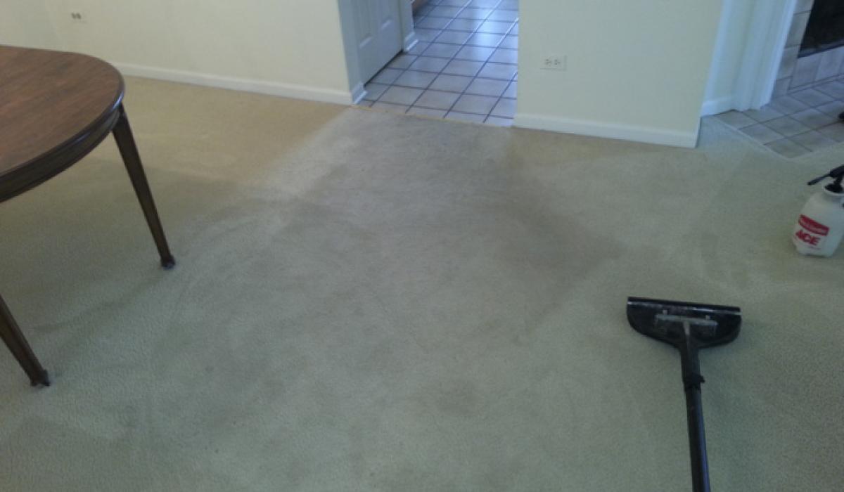 Carpet Cleaning Service Aurora IL Carpet Cleaning Aurora IL Royal