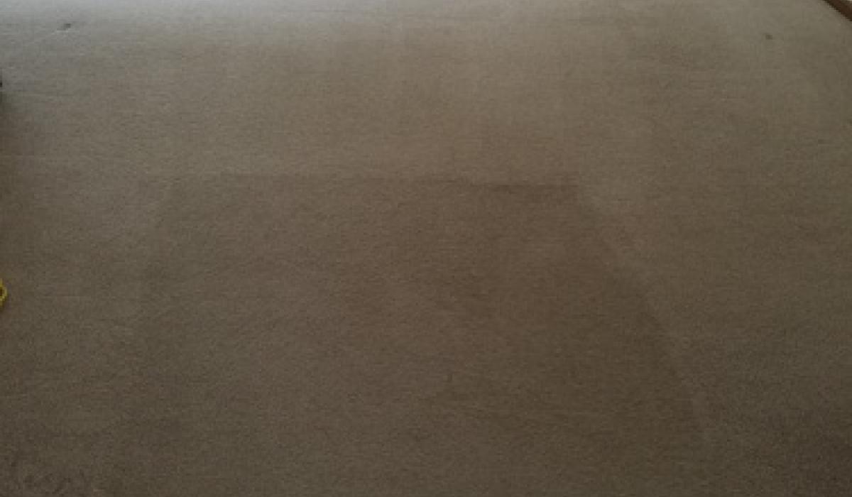 Carpet Cleaning Service Aurora IL Carpet Cleaning Aurora IL Royal